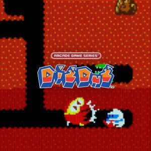 ARCADE GAME SERIES: DIG DUG